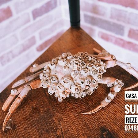 Casa De Vacanta Rodica スリナ エクステリア 写真