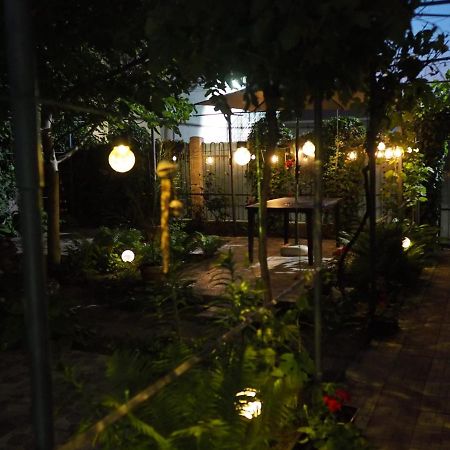 Casa De Vacanta Rodica スリナ エクステリア 写真
