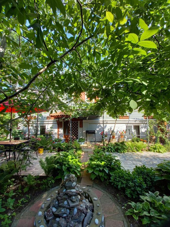 Casa De Vacanta Rodica スリナ エクステリア 写真
