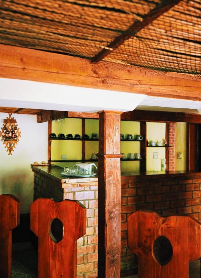 Casa De Vacanta Rodica スリナ エクステリア 写真