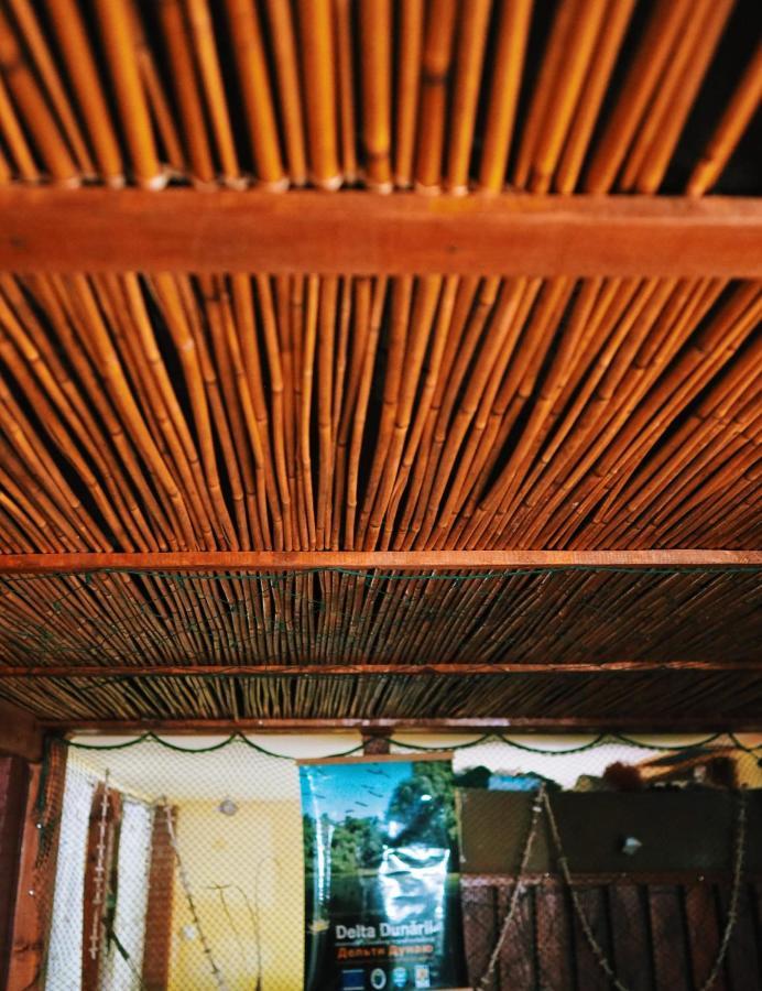 Casa De Vacanta Rodica スリナ エクステリア 写真