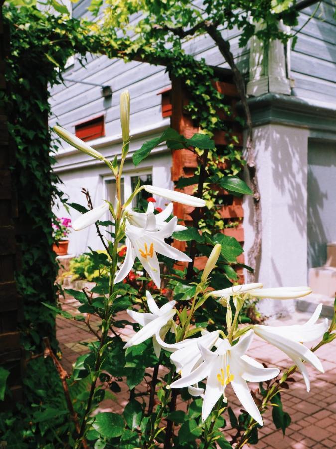 Casa De Vacanta Rodica スリナ エクステリア 写真
