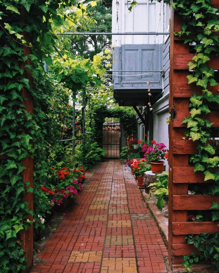 Casa De Vacanta Rodica スリナ エクステリア 写真