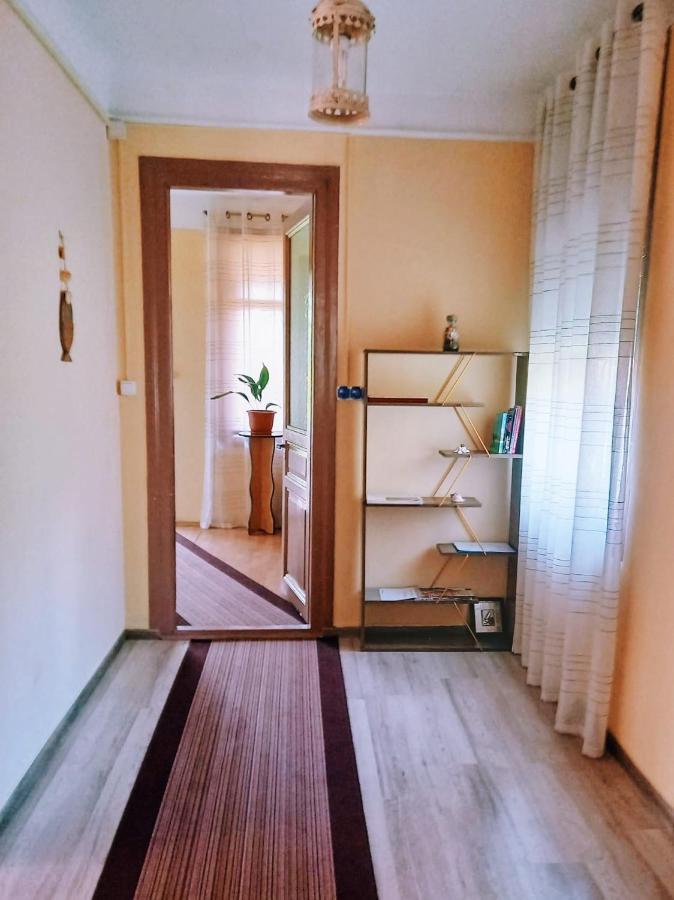Casa De Vacanta Rodica スリナ エクステリア 写真
