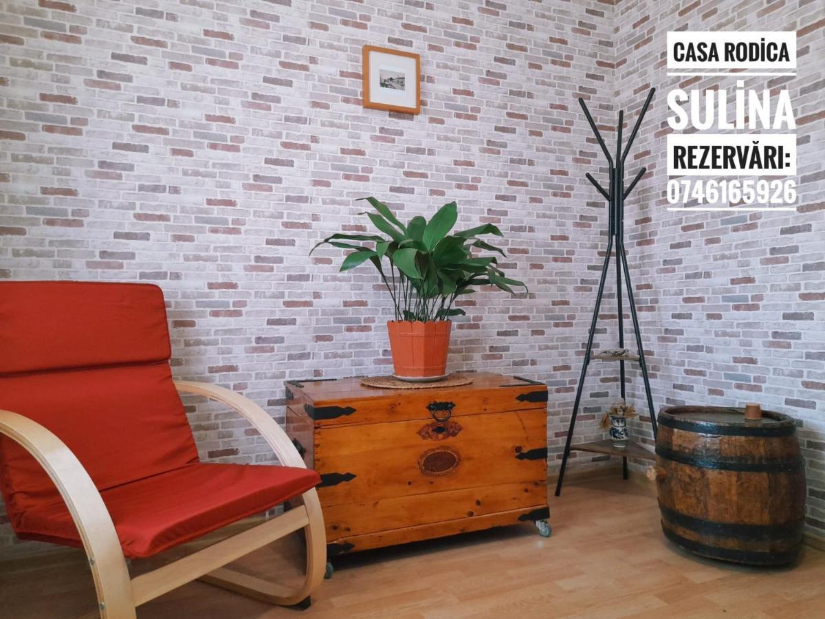 Casa De Vacanta Rodica スリナ エクステリア 写真