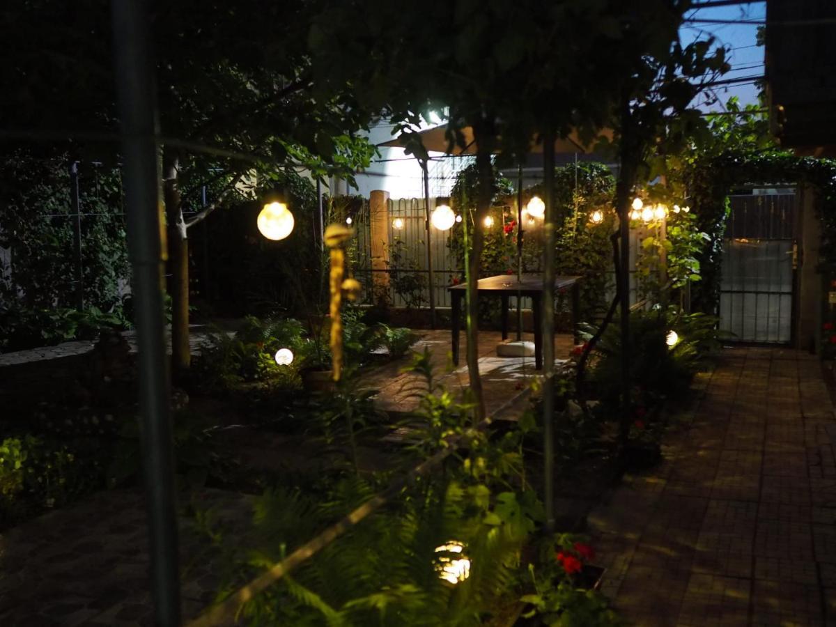 Casa De Vacanta Rodica スリナ エクステリア 写真