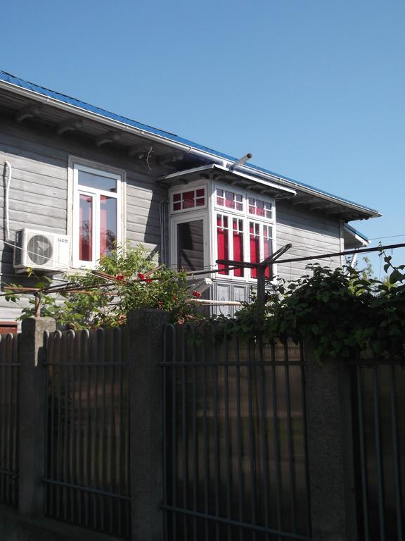 Casa De Vacanta Rodica スリナ エクステリア 写真